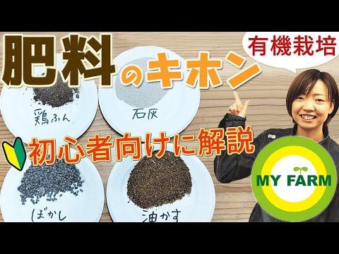 ミクトフィダエについて詳しく解説