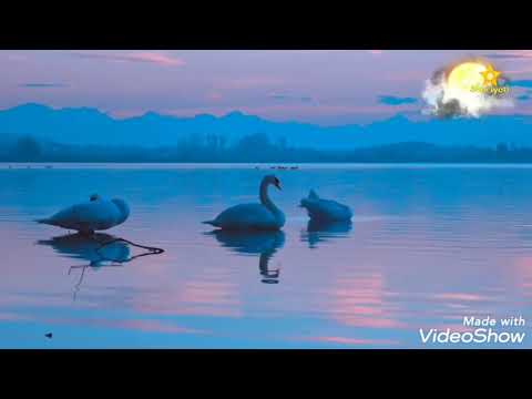 Nirmala manasutho nischaya budditho!!! నిర్మల మనస్సుతో నిశ్చయ బుద్ధితో!!!!Brahmakumaris telugu songs