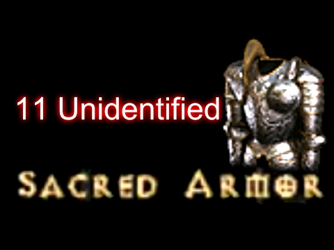Unidentified Sacred Armor - Diablo 2