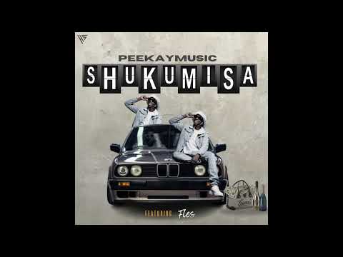 Peekaymusic - Shukumisa (feat. Fles)