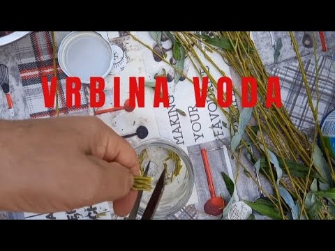 VRBINA VODA- willow water for rooting NAJBOLJA ZA REZNICE
