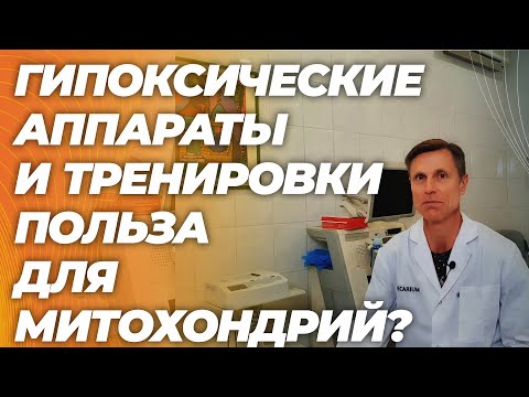 Зачем нужны гипоксические тренировки и есть ли польза для митохондрий? Зачем нужны гипоксические тренировки и есть ли польза для митохондрий?