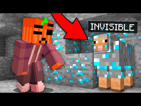 Reto IMPOSIBLE Encontrar a Esta Oveja!