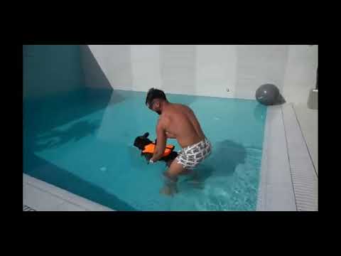 INOATA CHELUTU | ORIGINAL DORIAN POPA