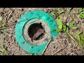 Ant Colony Found in Termite Bait Station in Dunellen, NJ