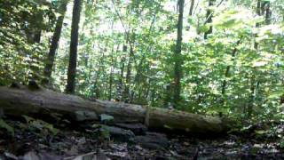 preview picture of video 'Up and over hammond hill state forest'