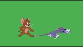 Download lagu Tom and Jerry Green Screen small tom... mp3