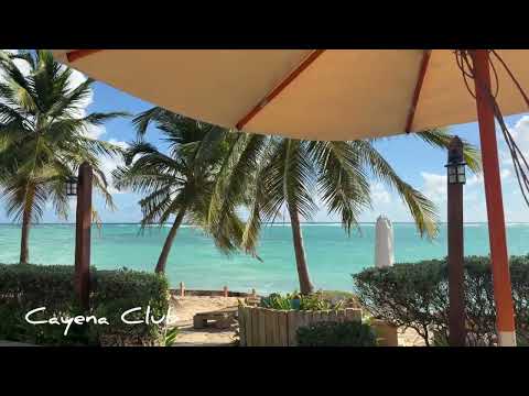 Vik Arena Blanca - Cayena Club