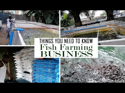 , title : 'Steps on how to start Fish Farming, good Feeds and Medications.'