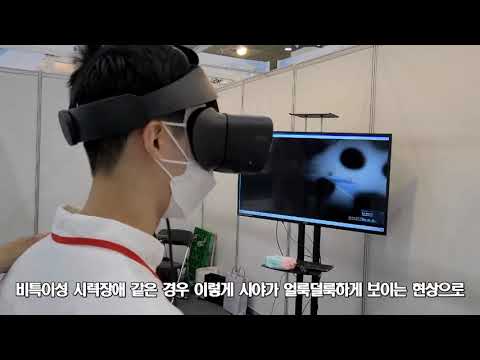 장애인 체험 VR