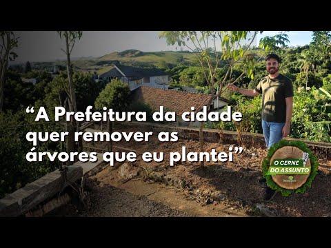 Prefeitura quer arrancar árvores nativas plantadas voluntariamente em MG | O Cerne do Assunto