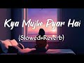 Kya Mujhe Pyar Hai Tum Kyu Chale Aate Ho Slow And Reverb