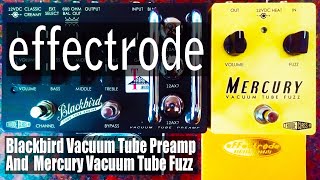 Video thumbnail for Effectrode: Blackbird Preamp + Mercury Fuzz by Everything Guitar