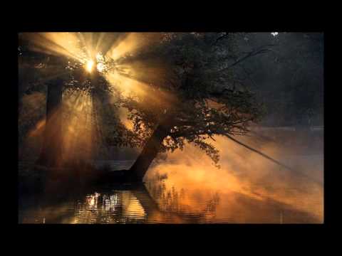 Night Elf Loss - Tracy W. Bush (WarCraft III)