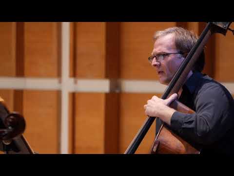 Angelakis, Ioannis TR-6.1-X12, for bass clarinet and strings