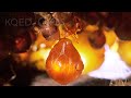 Honeypot Ants Turn Their Biggest Sisters Into Jugs Of Nectar Deep Look