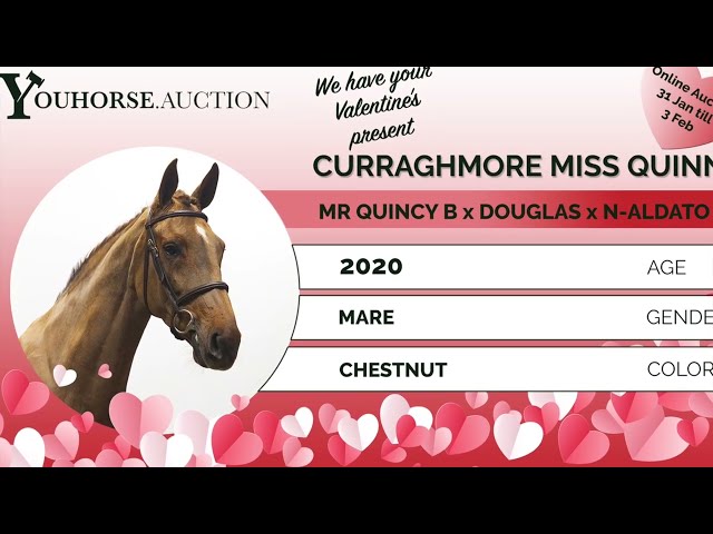 Curraghmore Miss Quinn