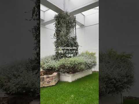 屋外に木造の日本庭園を設置する方法 