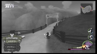 キングダムハーツ2やっていくpart10.5【レベル上げ＋遊び】