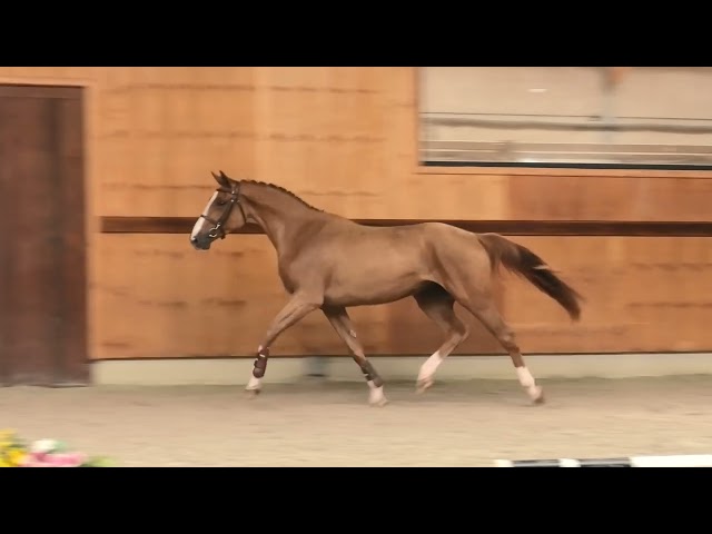 Gaits