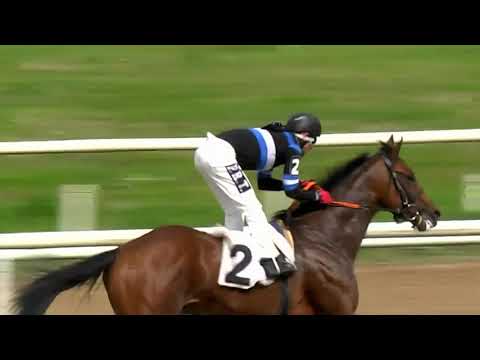 210911 c03 - CINCINATTUS (BRZ) - HIPODROMO LAS PIEDRAS