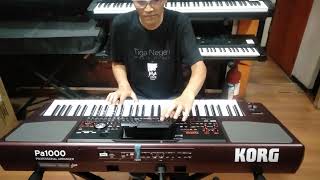 Download lagu Testing the Korg Pa1000 keyboard, it's so cool bro,,, mp3