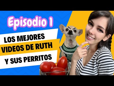 The Best Videos of Ruth QFB and her Dogs EPISODE 1