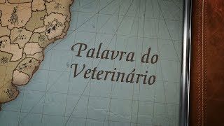 Miniatura do vídeo