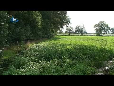 DRTV Nieuws van 1 september