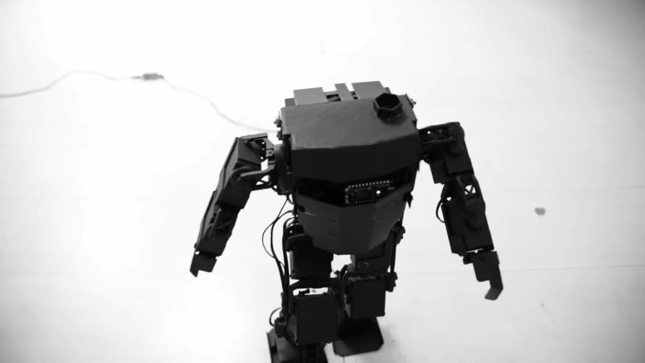 Robot