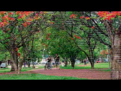 Aquele que tem os meus mandamentos - letra e cifras na descrição abaixo