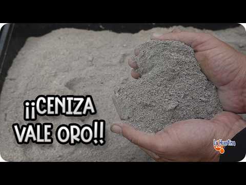 7 USOS de La CENIZA En Las Plantas Y En El Huerto - NO LA VOLVERAS A TIRAR || La Huertina De Toni