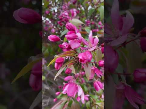 pexels anastasia ilinamakarova 10720212