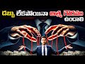 Self Respect The Real Secret Of Millionaires Motivational Speech Voice Of Telugu