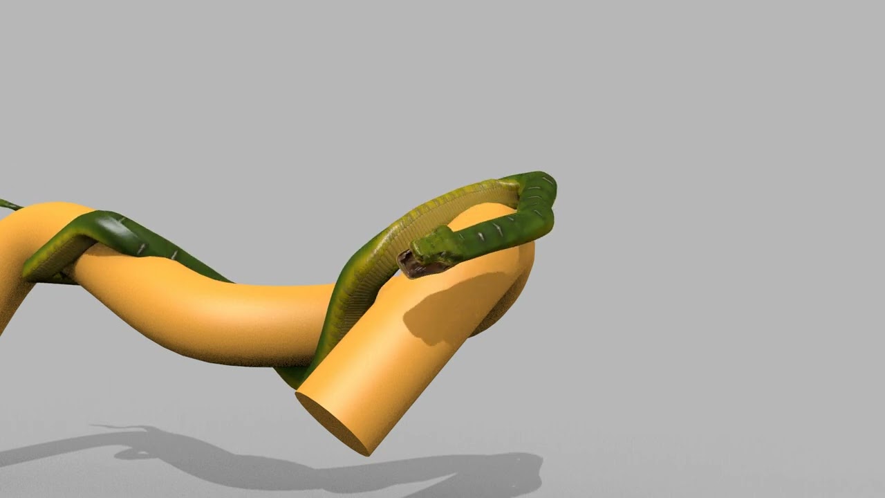 Pro Green Boa Snake - 8k - 3d animated 3D Model