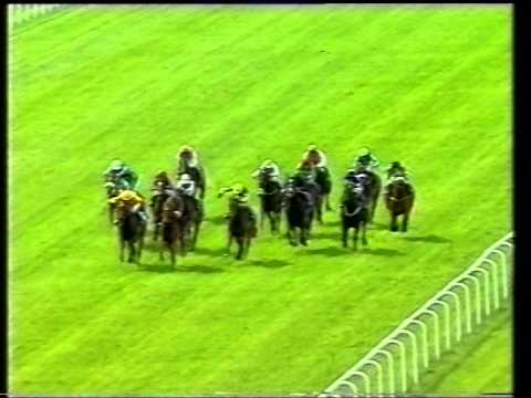 2002 Entenmann's Irish 1000 Guineas