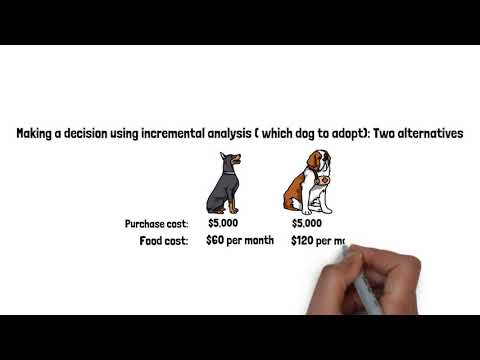 incremental analysis concepts: relevant cost, sunk cost, opportunity cost
