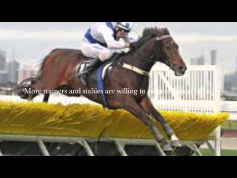 Jumps Racing should not be banned