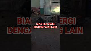Download lagu Biarin dompet kosong 🤣🤣 part 1#katakatabijak #katamotivasi #katamutiara #storywa #story #status mp3