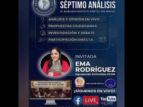Séptimo Análisis, un análisis a la política comunal, regional y nacional de manera neutral.