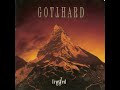 GOTTHARD - (live) father is that enough