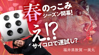 【タイラバ】福井敦賀 のっこみ真鯛シーズン開幕！ タイラバで運試し⁉︎ /福井県敦賀 / 田中亜衣