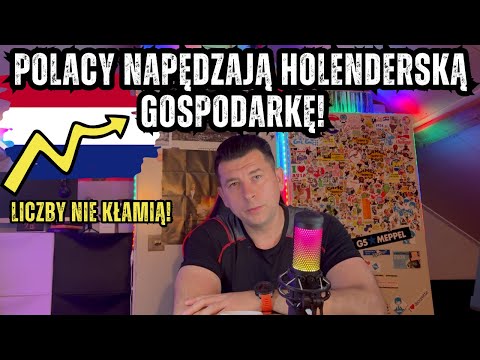 The truth about the Netherlands: without Poles this system fails