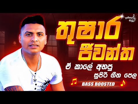 Thushara Jeewantha best songs collection | තුෂාර ජීවන්ත | live songs | Bass Boosted