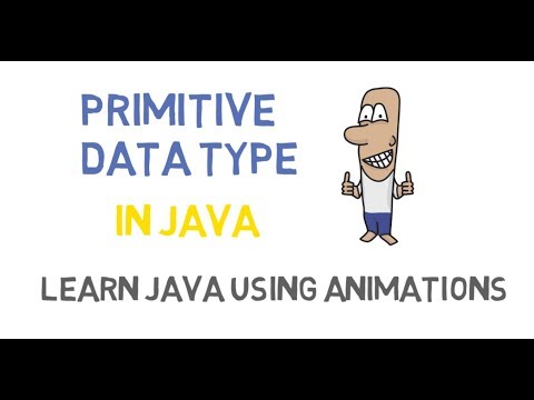 12 - Primitive Data Types in Java