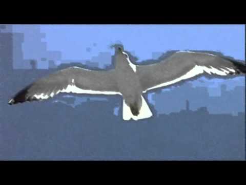 Amore grande amore libero - Il guardiano del faro