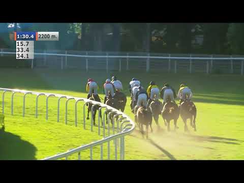 16.08.2020 (D24; G9; Tor: 2,5; 28°C)