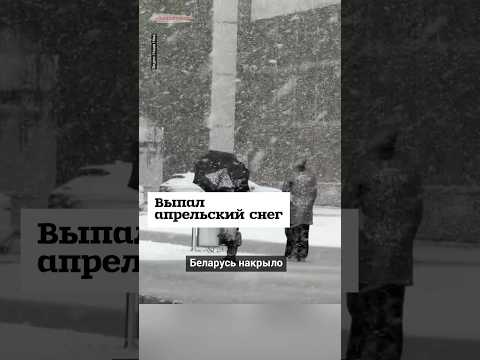 В Беларуси выпал апрельский снег #shorts