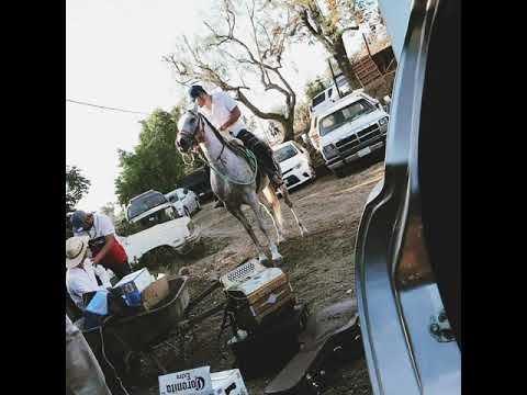 El Poli (Tony Aguirre) 2021