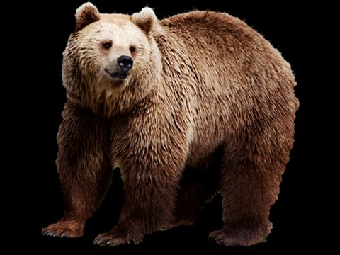 CEVO Gfinity CS GO Pro League Season 9